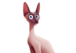 Winota